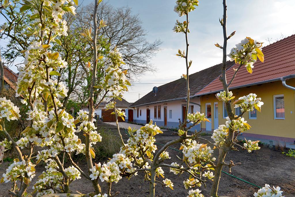 Rigofuetty Vendeghaz Hotel Tiszaalpar Eksteriør billede