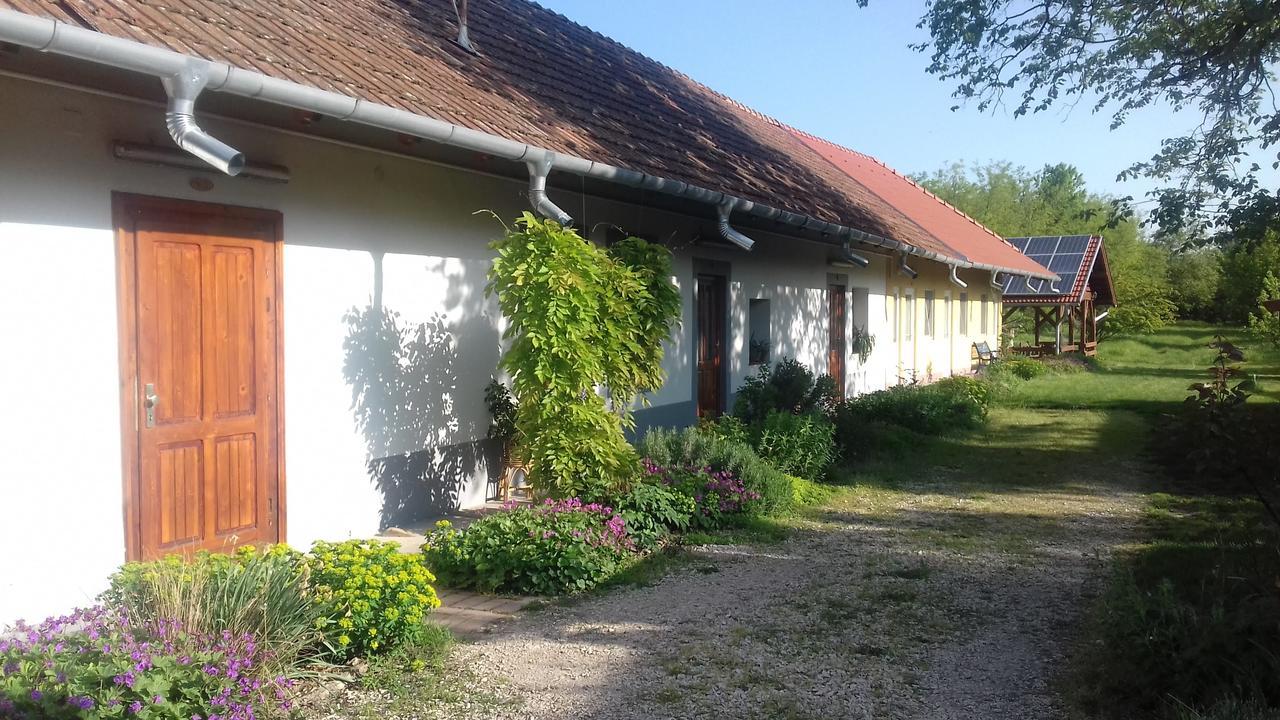 Rigofuetty Vendeghaz Hotel Tiszaalpar Eksteriør billede