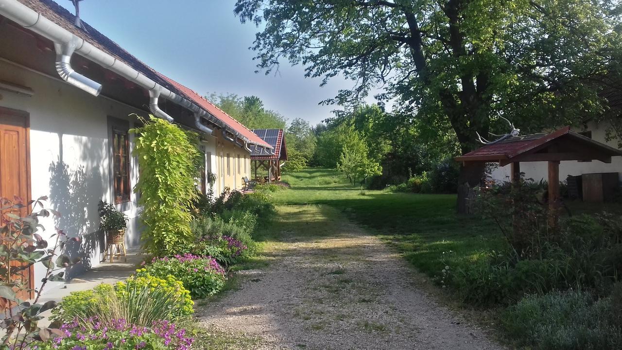Rigofuetty Vendeghaz Hotel Tiszaalpar Eksteriør billede